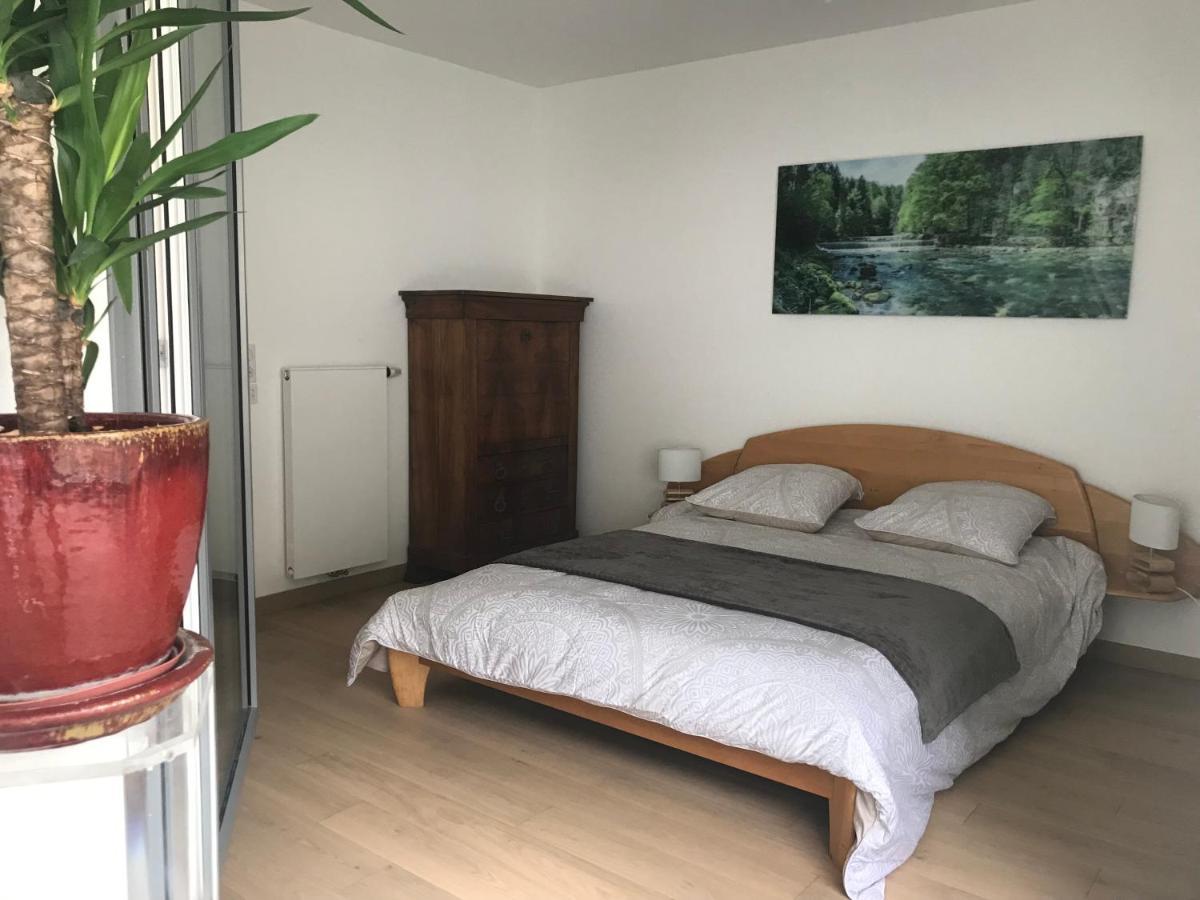 La Providence Apartment Annecy Ngoại thất bức ảnh